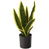 Nearly Natural NearlyNatural Pianta artificiale Sansevieria 35,6 cm.