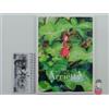 Tokuma Shoten Artbook Studio Ghibli - Kakigurashi no Arrietty ROMAN ALBUM