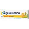 Pietrasanta - Vegetallumina Arnica Gel 90% Confezione 100 Ml