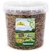 JR Farm Tarme della farina ad elevato contenuto proteico - 400 g