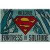 Grupo Erik Zerbino Superman - Welcome Fortress Of Solitude