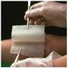SMITH & NEPHEW SRL Garza Medicata Bactigras Con Clorexidina Acetato 0,5% 10x10cm 10 Pezzi