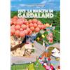 Artestampa Edizioni 1975 La nascita di Gardaland