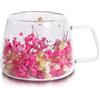 Richaa Tazza in vetro a doppia parete con manico con fiori secchi, 200 ml, tazza per cappuccino, cioccolata calda, tazza da caffè in vetro, regalo originale