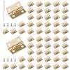 Roosea Mini Cerniera Oro 60 Pezzi Mini Cerniere per Legno 15*18 mm Cerniere Piccole per Cofanetti con 240 viti，Mini Cerniere per Modellismo per il Cassetto dei Giocattoli Della Scatola di Artigianato
