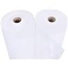 sarcia.eu AGROTESSILE Bianco UV Polonia 1,6m 50g/m2 (1.6m x 30m = 48m², Bianco)