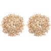BONGIOVANNI FARINE E BONTA' NATURALI Fiocchi di Segale BIO 500g (Confezione da 2)