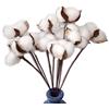 DongArts 30 palline di cotone essiccato in vero cotone naturale, lunghe e morbide, per composizioni floreali, fai da te, decorazione per la casa, matrimoni, feste