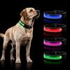 PETTY Collare Luminoso per Cani REGOLABILE LED - Collarino TRASPIRANTE RICARICABILE Usb, Chiusura Regolabile e Bottone di Sicurezza Antistrozzo - Cani Taglia Piccola Media e Grande XS Rosso