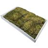 Moranduzzo - Tappeto di Muschio Naturale 44x32 cm - Artigianato Made in Italy - Accessori e Materiali per Realizzare Un Presepe Tradizionale Fai da Te