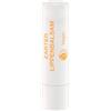 Logona Nourish Gentle lip balm Balsamo per labbra 5 g
