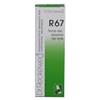DR.RECKEWEG IM.R67 GTT 22ML - DR.RECKEWEG - 909462780