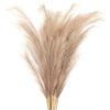 PATIKIL Pampas Decor Alti 37.8 Pollici, 7 Pezzi Pampas Artificiali Lunghi E Morbidi Erba Finta Secca Per Decorazioni Casa Boho Vasi Matrimonio Parete Terra, Marrone