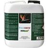 FreeZanz Natural Green PLUS Tan.2lt FreeZanz specifico per evolution/professional