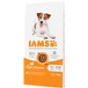 Iams Adult Small & Medium con pollo per cane 12 kg
