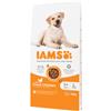 Iams Adult Large con pollo per cane 12 kg