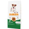 Iams Adult Small & Medium con agnello per cane 12 kg