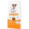 Iams Senior Small & Medium con pollo per cane 2 x 12 kg