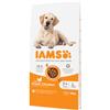 Iams Senior Large con pollo per cane 2 x 12 kg