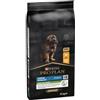 Pro Plan Large Robust Puppy Healthy Start con pollo per cane 12 kg