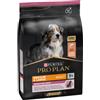 Pro Plan Medium & Large Adult 7+ Sensitive Skin con salmone per cane 2 x 3 kg