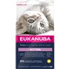 Eukanuba Kitten al pollo per gattino 2 kg