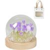 Ieron Lampada da notte a tulipano, ornamento fatto a mano, simulazione di fiori a LED, luce a LED, decorazione per camera da letto, regalo di Natale artificiale, regalo di compleanno con sacchetti