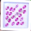 20Pcs Naturale Mogok Rosa Rubino Marquise 6.40 MM Certificato Perfetto Loose