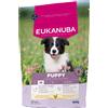EUKANUBA Puppy Medium Breeds Chicken 800 g cibo secco per cuccioli di razze medie ricco di pollo fresco