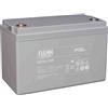 FIAMM-GS S.P.A. Batteria al piombo 12V 100AH - FIM 12FGL100