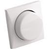 Batsystem Reostato 12/24 V per LED 24 W bianco - 1 PZ - 14.024.01 - 1402401