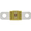 Restagraf Fusibile Midi in borsa, 58 V/60 A, giallo, confezione da 2 pezzi