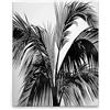 A.S. Création DD131783 - Stampa su tela, motivo: palme, colore nero, bianco, 40 x 50 cm