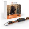 Weenect Localizzatore GPS per cani Weenect XT - con collare - nero, con collare arancione incluso