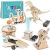 FEMBW Esperimenti per Bambini da 8 9 10 11 12, 6 PCS Bambini kit di Costruzione, Robot Giocattolo Fai da Te, Kit di Esperimenti, Kit di Costruzione in Legno 3D, Regali da 8-14 Anni Ragazzi