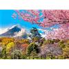 DKijoys Osaka Castle Puzzle da 1000 pezzi, per adulti, Fuji Cherry Blossom Giappone, 1000 pezzi