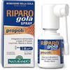 Riparo Gola Spray Integratore alimentare 25 ml