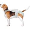 CAPASTEC Pannolini Per Cagne In Calore Pannolini Per Cucciolo Mutandine Fisiologiche Biancheria Intima Per Animali Domestici Lavabile E Riutilizzabile Con Bretelle Regolabili Grigio L