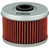 Champion Filtro olio motore