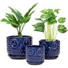Nattol Vasi da fiori in ceramica, fioriere in ceramica con foro di drenaggio e sottovaso, moderne fioriere rotonde per piante grasse da interni con design a gufo, di piccole e medie dimensioni, set da