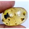 16.15 CT Naturale Tanzania Ambra Fossil Insect Inclusione Cabo Certificato Gemme