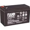 FIAMM Batteria Fiamm 12V Nero