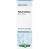 ERBA VITA GROUP SpA Erba Vita Tintura Idroalcolica di Rosa Canina 50 ml - Estratto Liquido Naturale