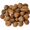 Noci in guscio 10 kg raccolto 2025 dalla Polonia - lavate, essiccate, calibrate