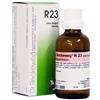 DR.RECKEWEG Reckeweg r23 gocce 22ml - DR.RECKEWEG - 909462362