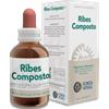FORZA VITALE Ecosol ribes composto gocce 50 ml - FORZA VITALE - 901398103