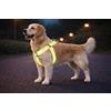 Flamingo pettorina cane taglia grande - Step&Go Fergu fluo giallo L - A:40-70 cm B:40-70 cm - 25 mm - nylon regolabile - riflettente