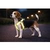 Flamingo pettorina cane taglia media - Step&Go Fergu fluo giallo M - A:35-60 cm B:35-60 cm - 20 mm - nylon regolabile - riflettente