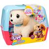 Little Live Pets Ouchies - Cooper The Retriever Cucciolo | Trasforma da ferito a guarito come un veterinario. Crea un vero cast. Cucciolo che cammina con trasportino (35 cm/13,8 pollici di altezza