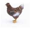 Frisa Presepi Gallina in Piedi x statue H 16-14 cm